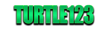Logo TURTLE123